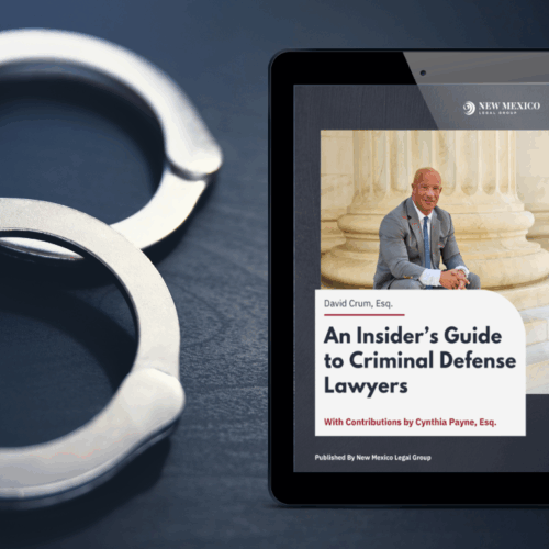 An Insider's Guide to Criminal Defense Lawyers Cover